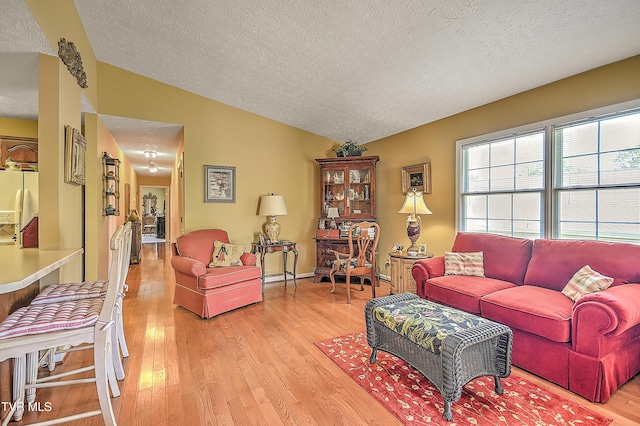 713 Teasel Dr Unit 0, Kingsport, TN 37660 - living room with a textured ceiling, light wood-type flooring, and lofted ceiling