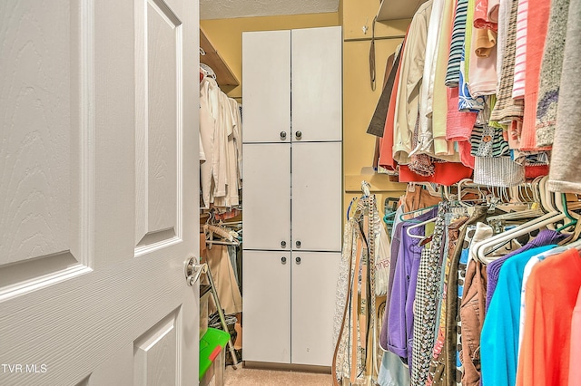 713 Teasel Dr Unit 0, Kingsport, TN 37660 - view of spacious closet