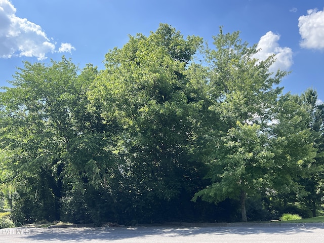 LOT21 Ledges Dr, Kingsport, TN 37664 - photo 1