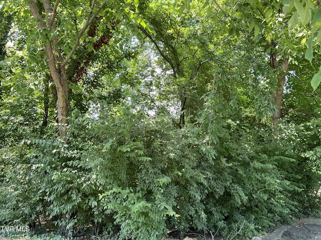 LOT21 Ledges Dr, Kingsport, TN 37664 - photo 8