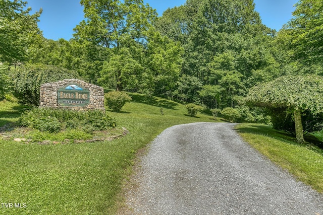 410 Eagle Ridge Rd, Roan Mountain, TN 37687 - view of road