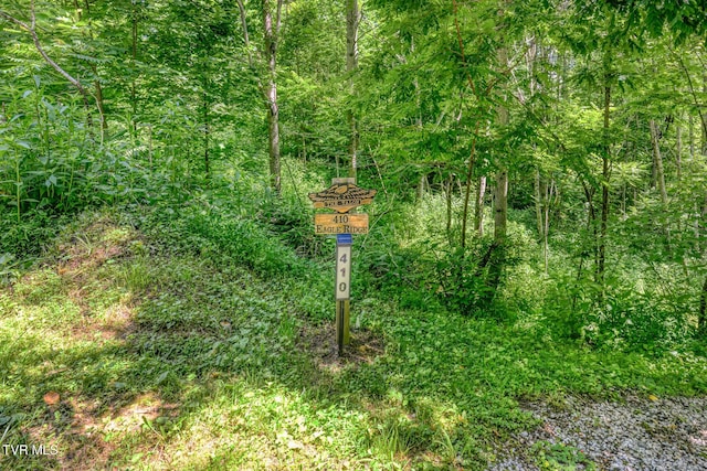 410 Eagle Ridge Rd, Roan Mountain, TN 37687 - exterior view