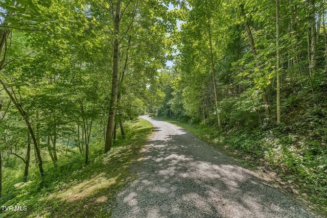 410 Eagle Ridge Rd, Roan Mountain, TN 37687 - view of road featuring a view of trees
