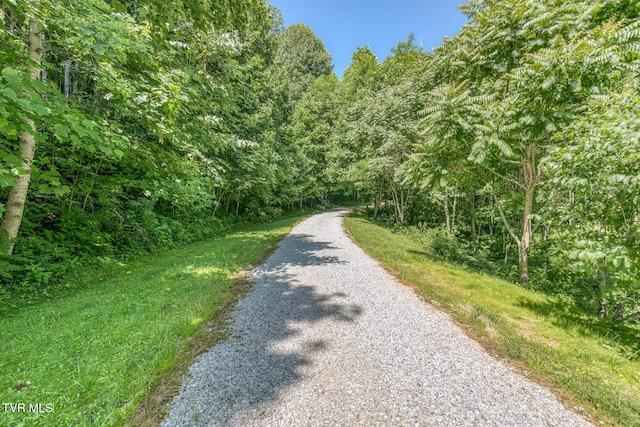 410 Eagle Ridge Rd, Roan Mountain, TN 37687 - view of road featuring a forest view