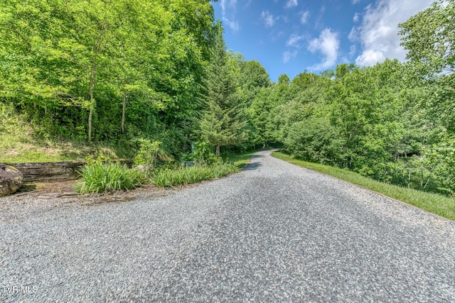 410 Eagle Ridge Rd, Roan Mountain, TN 37687 - view of dirt / gravel road with a forest view