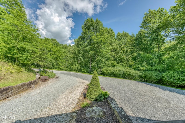 410 Eagle Ridge Rd, Roan Mountain, TN 37687 - view of street featuring a view of trees