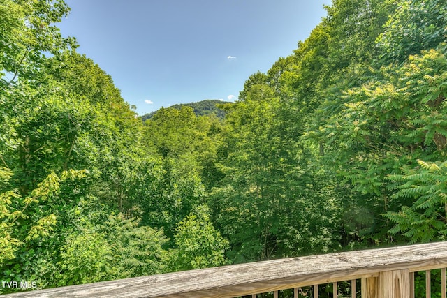 410 Eagle Ridge Rd, Roan Mountain, TN 37687 - mountain view featuring a heavily wooded area