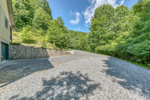 410 Eagle Ridge Rd, Roan Mountain, TN 37687 - view of yard with a forest view