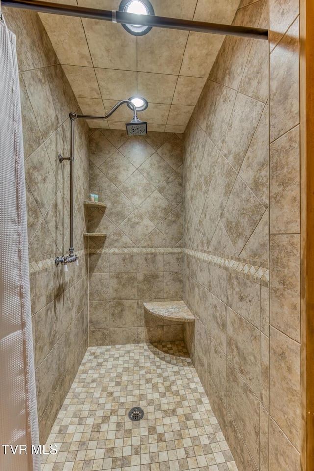 410 Eagle Ridge Rd, Roan Mountain, TN 37687 - full bath with a tile shower