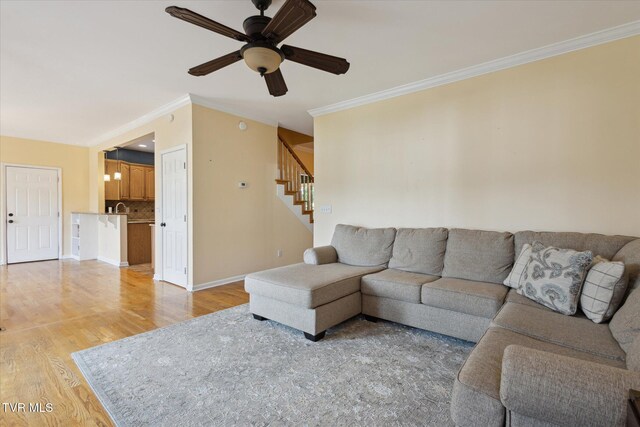 259 Old Cooks Valley Rd, Kingsport, TN 37664 - photo 14