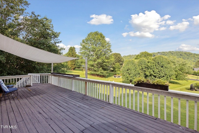 259 Old Cooks Valley Rd, Kingsport, TN 37664 - photo 34