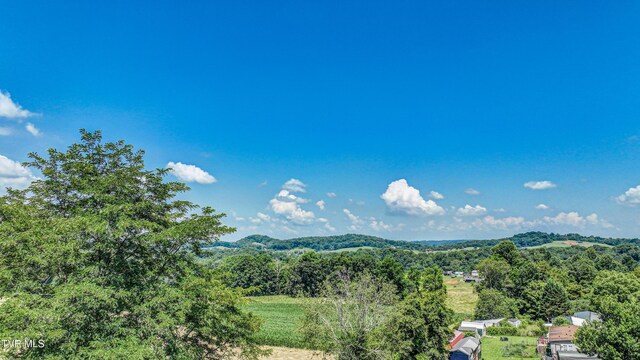 356 Lories Ln, Piney Flats, TN 37686 - photo 45