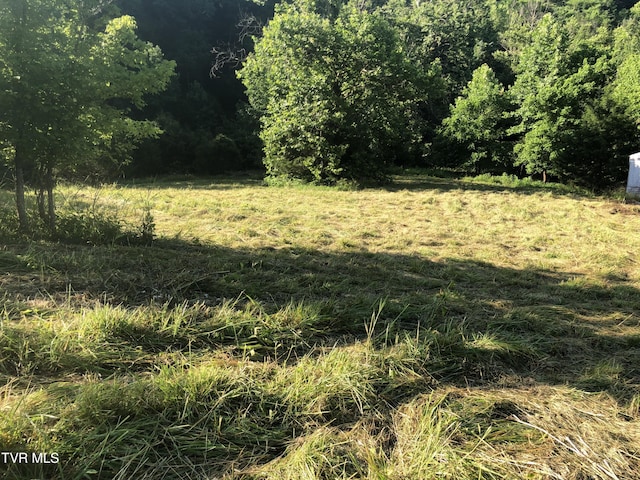 515 Gottland Shoals Rd, Blountville, TN 37617