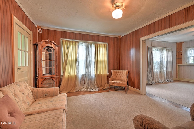 1230 Carolina Ave, Bristol, TN 37620 - carpeted living area with crown molding, wooden walls, and a textured ceiling