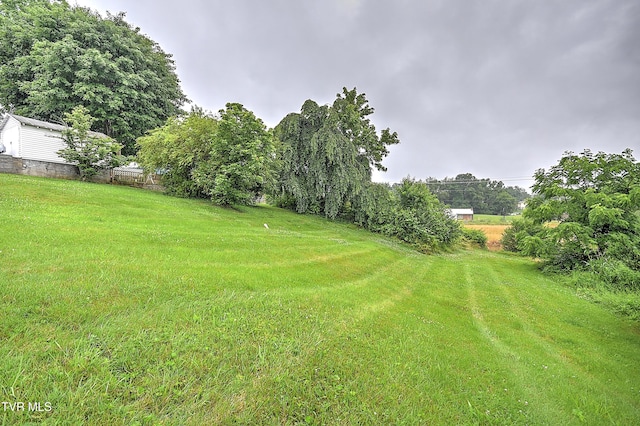 1230 Carolina Ave, Bristol, TN 37620 - view of grassy yard