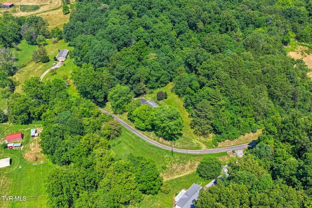 318 Arrowhead Dr, Rogersville, TN 37857 - photo 60