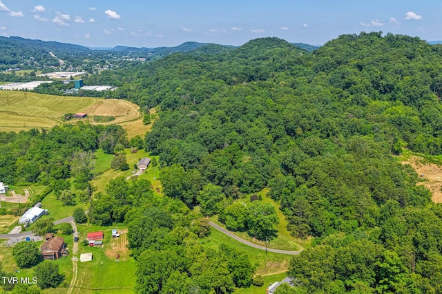 318 Arrowhead Dr, Rogersville, TN 37857 - photo 61