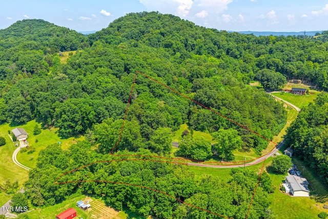 318 Arrowhead Dr, Rogersville, TN 37857 - photo 62