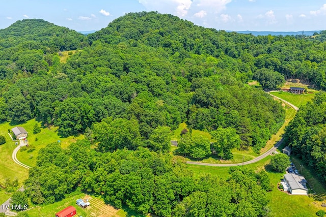 318 Arrowhead Dr, Rogersville, TN 37857 - photo 63