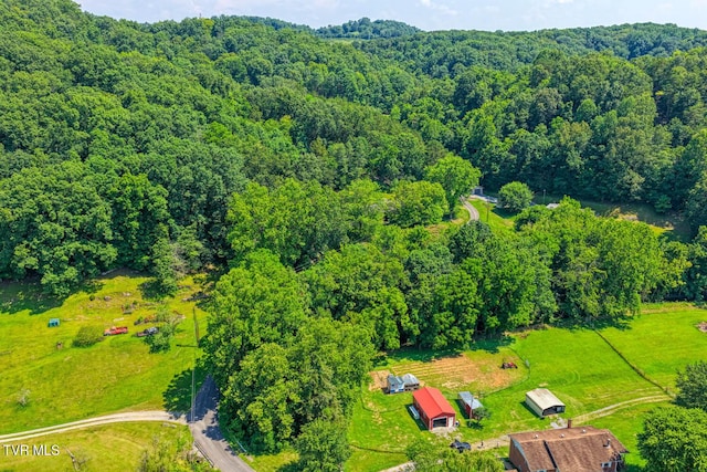 318 Arrowhead Dr, Rogersville, TN 37857 - photo 64