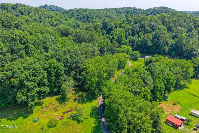 318 Arrowhead Dr, Rogersville, TN 37857 - photo 65