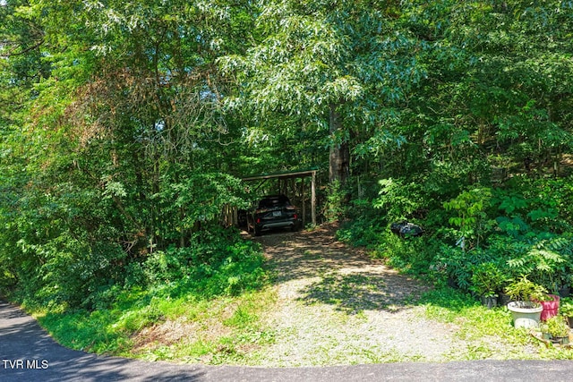 318 Arrowhead Dr, Rogersville, TN 37857 - photo 67