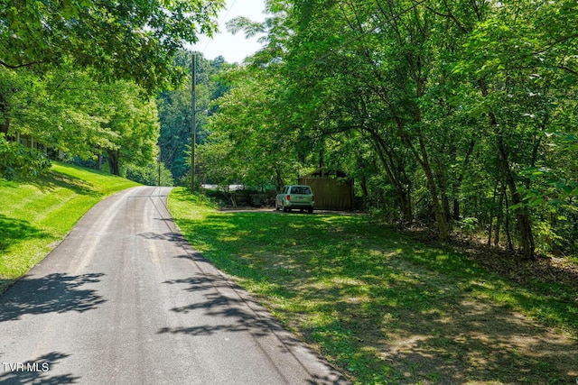 318 Arrowhead Dr, Rogersville, TN 37857 - photo 71