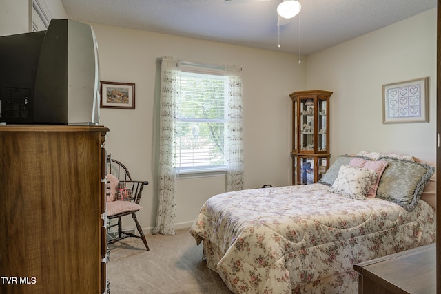 152 Boone Rd, Gray, TN 37615 - photo 10