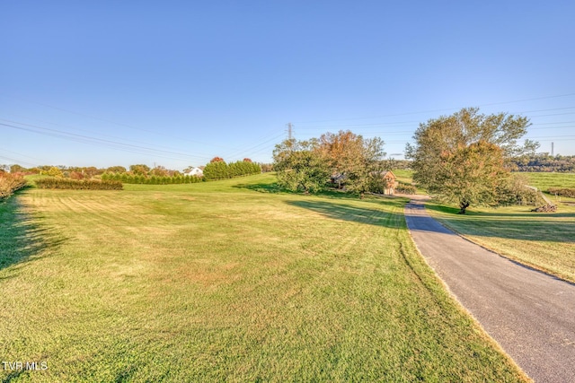 15060 Peaceful Valley Rd, Abingdon, VA 24210 - view of green lawn