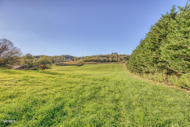 15060 Peaceful Valley Rd, Abingdon, VA 24210 - view of grassy yard with a rural view