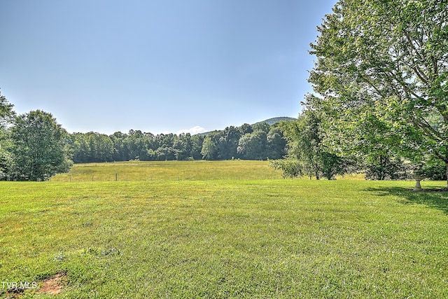 807 Jared Dr Unit 2, Johnson City, TN 37604 - photo 35