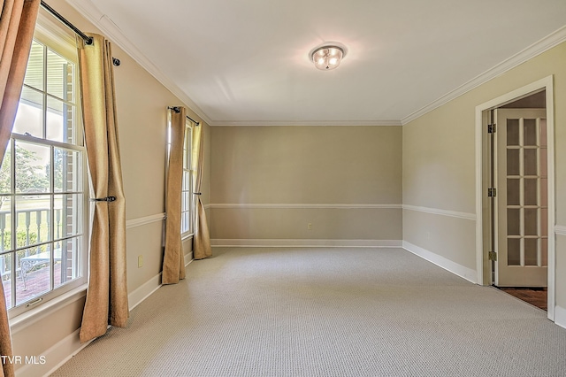 6054 Old Jonesboro Rd, Bristol, TN 37620 - empty room with carpet floors and ornamental molding