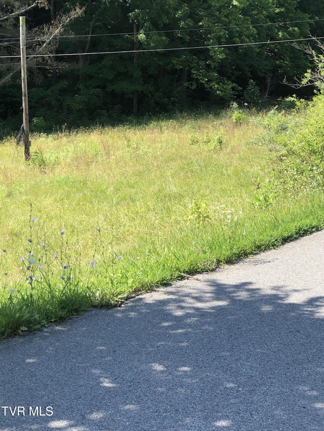 TBD Gottland Shoals Rd, Blountville, TN 37617