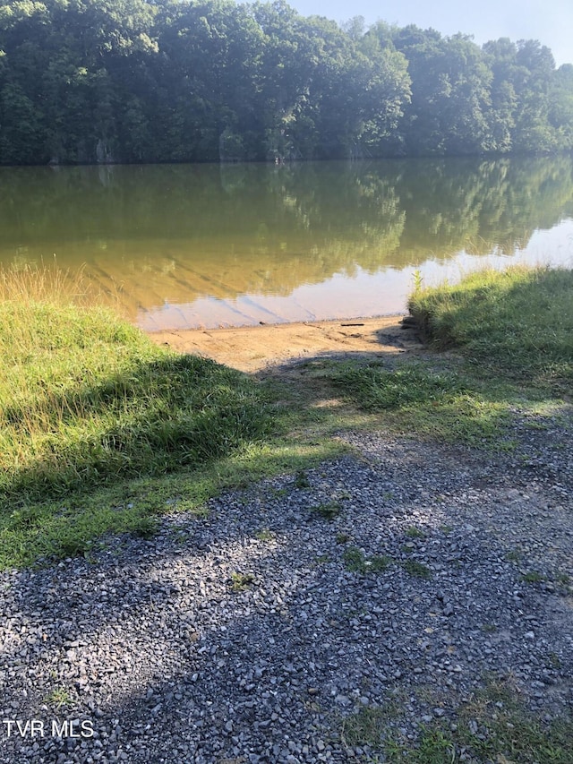 TBD Gottland Shoals Rd, Blountville, TN 37617