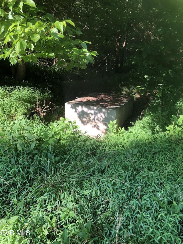 TBD Gottland Shoals Rd, Blountville, TN 37617