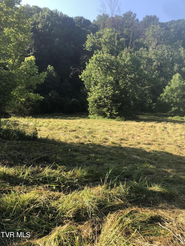 TBD Gottland Shoals Rd, Blountville, TN 37617