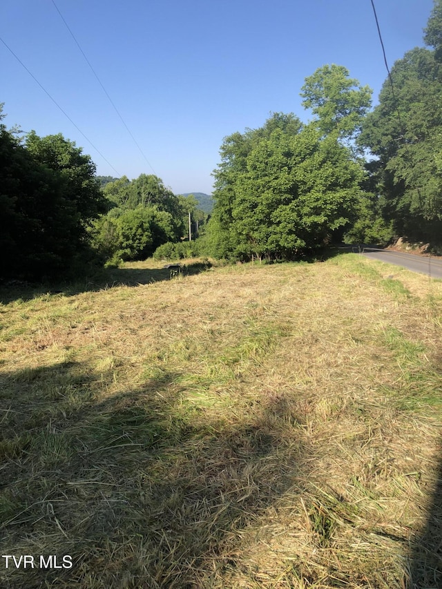 TBD Gottland Shoals Rd, Blountville, TN 37617