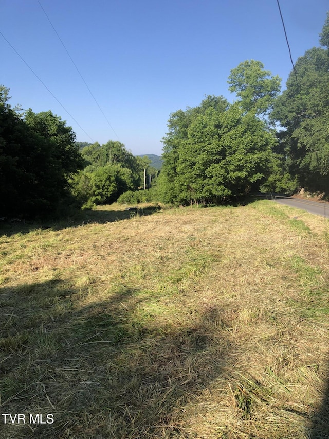 TBD Gottland Shoals Rd, Blountville, TN 37617