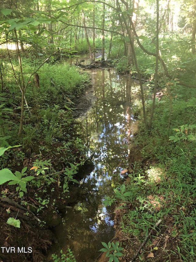 TBD Gottland Shoals Rd, Blountville, TN 37617