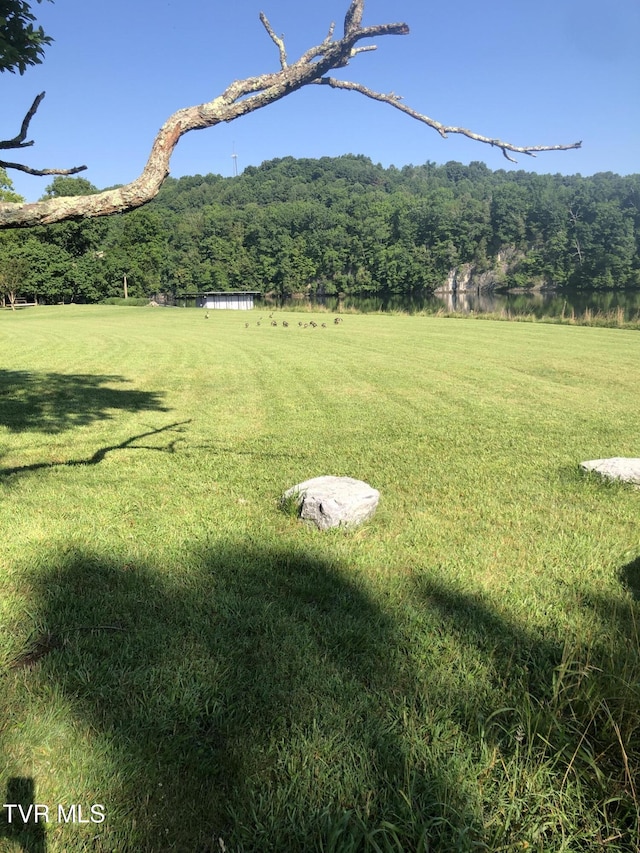 TBD Gottland Shoals Rd, Blountville, TN 37617