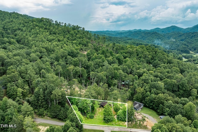 198 Forest Wood Ln, Mountain City, TN 37683 - photo 3