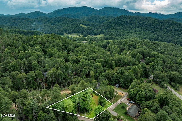 198 Forest Wood Ln, Mountain City, TN 37683 - photo 28