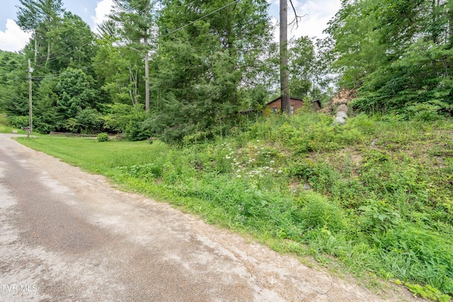 198 Forest Wood Ln, Mountain City, TN 37683 - photo 32