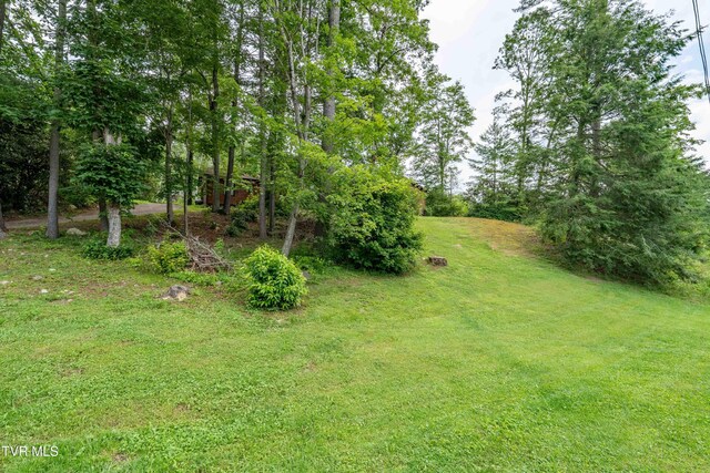 198 Forest Wood Ln, Mountain City, TN 37683 - photo 33