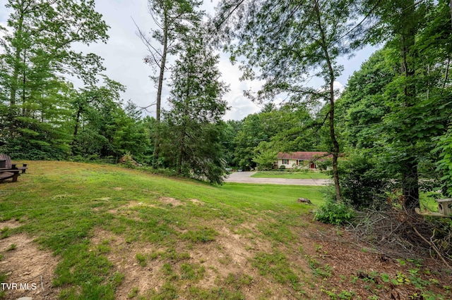 198 Forest Wood Ln, Mountain City, TN 37683 - photo 37