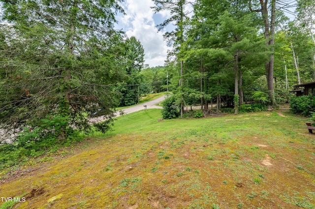 198 Forest Wood Ln, Mountain City, TN 37683 - photo 42
