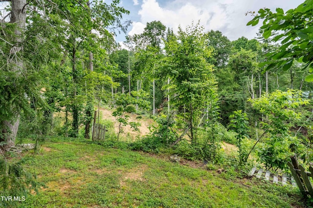 198 Forest Wood Ln, Mountain City, TN 37683 - photo 43