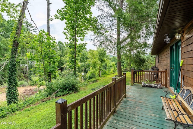 198 Forest Wood Ln, Mountain City, TN 37683 - photo 48