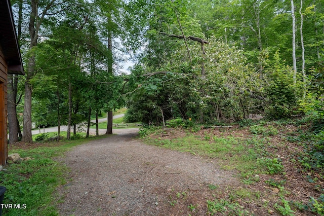 198 Forest Wood Ln, Mountain City, TN 37683 - photo 50