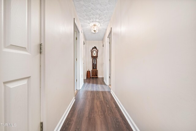 198 Forest Wood Ln, Mountain City, TN 37683 - photo 17